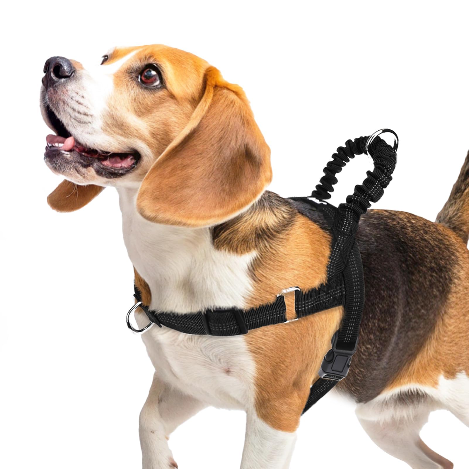 PUPTECK arnés sin tirones visto de frente para control suave durante paseos