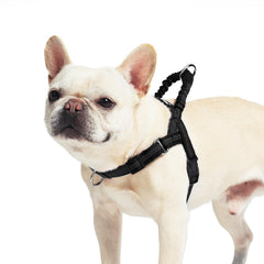 Arnés PUPTECK sin tirón para perro pequeño, ajuste cómodo para paseos.