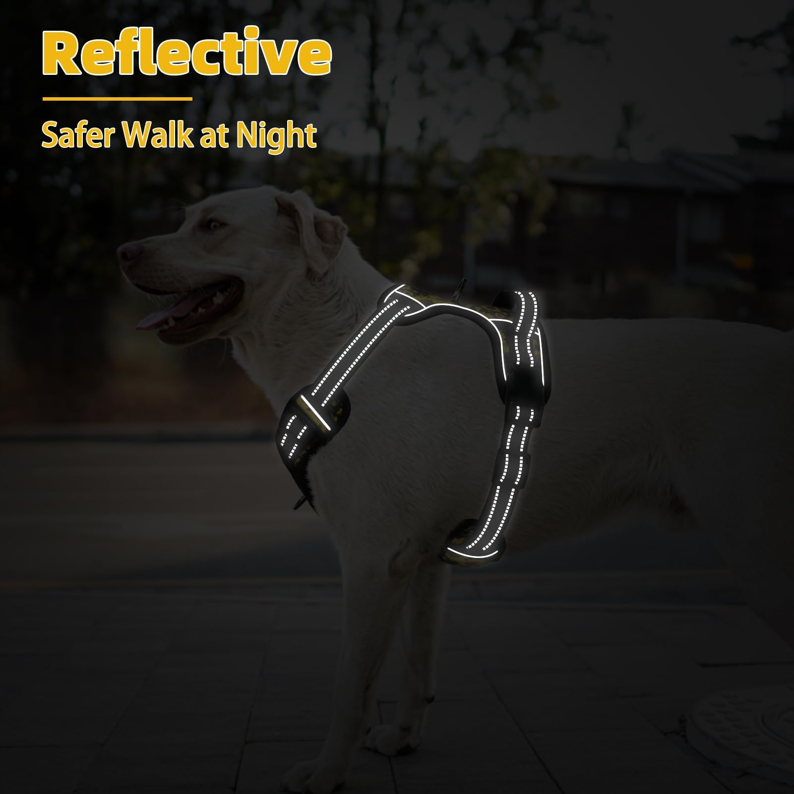 PUPTECK arnés para uso nocturno, mayor visibilidad y seguridad.