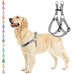 PUPTECK arnés sin tirón para perros, cómodo control durante paseos diarios