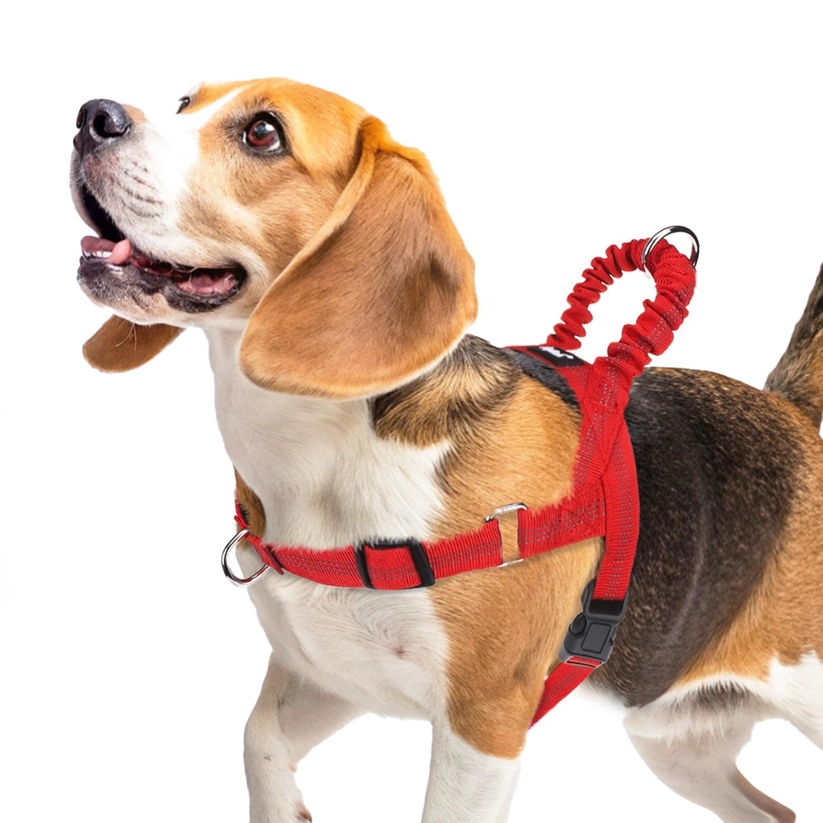 Arnés Pupteck sin tirones para perro mediano, vista frontal, control suave.