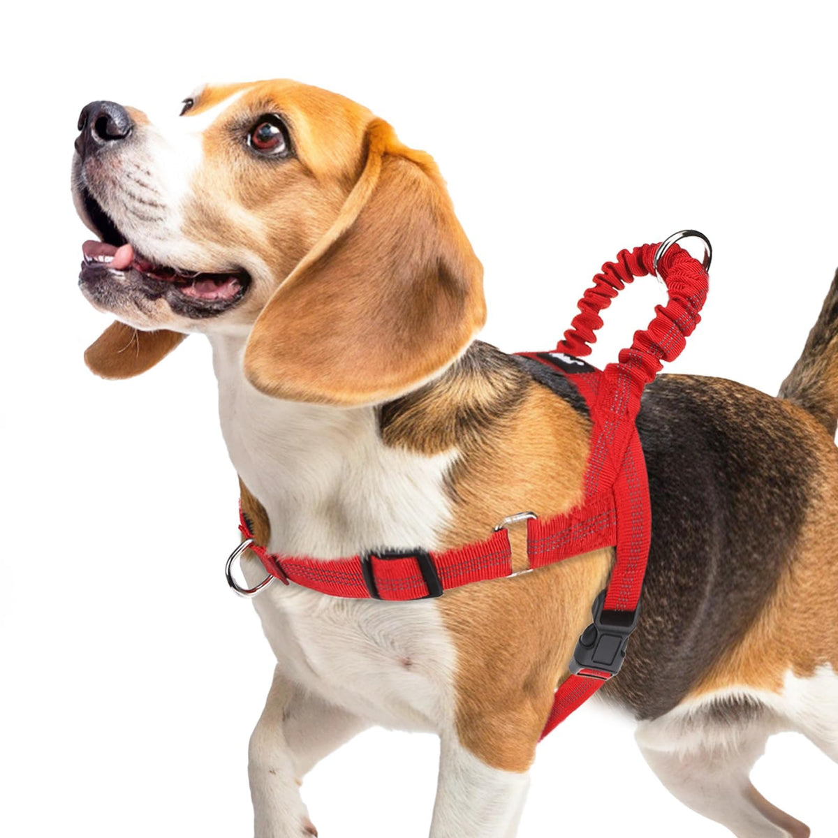 Arnés Pupteck sin tirones para perro mediano, vista frontal, control suave.
