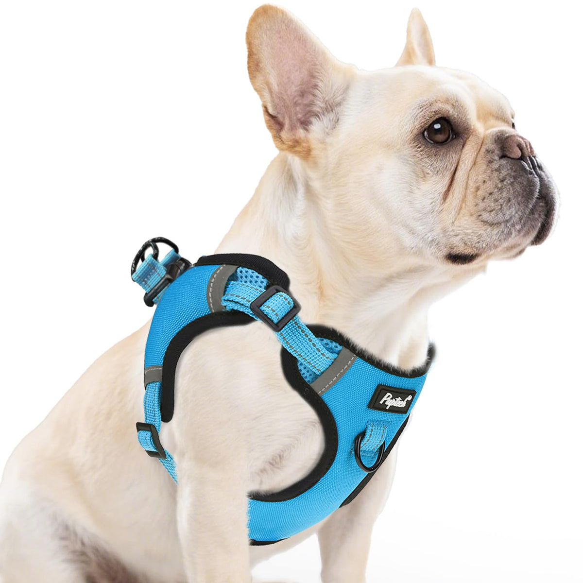 Arnés sin tirones de PUPTECK para perros, ideal para paseos diarios.