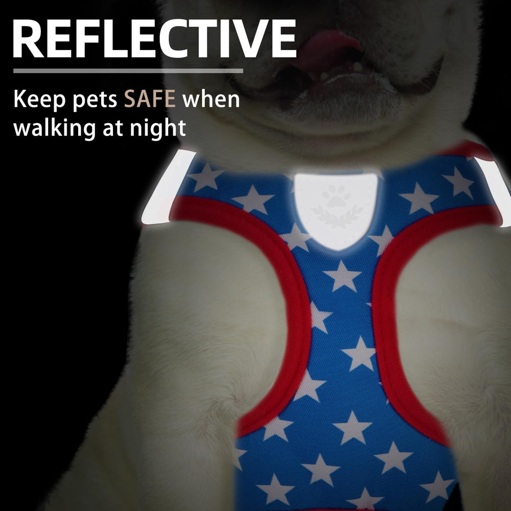 Aros en D dobles de PUPTECK para sujeción estable durante paseos.