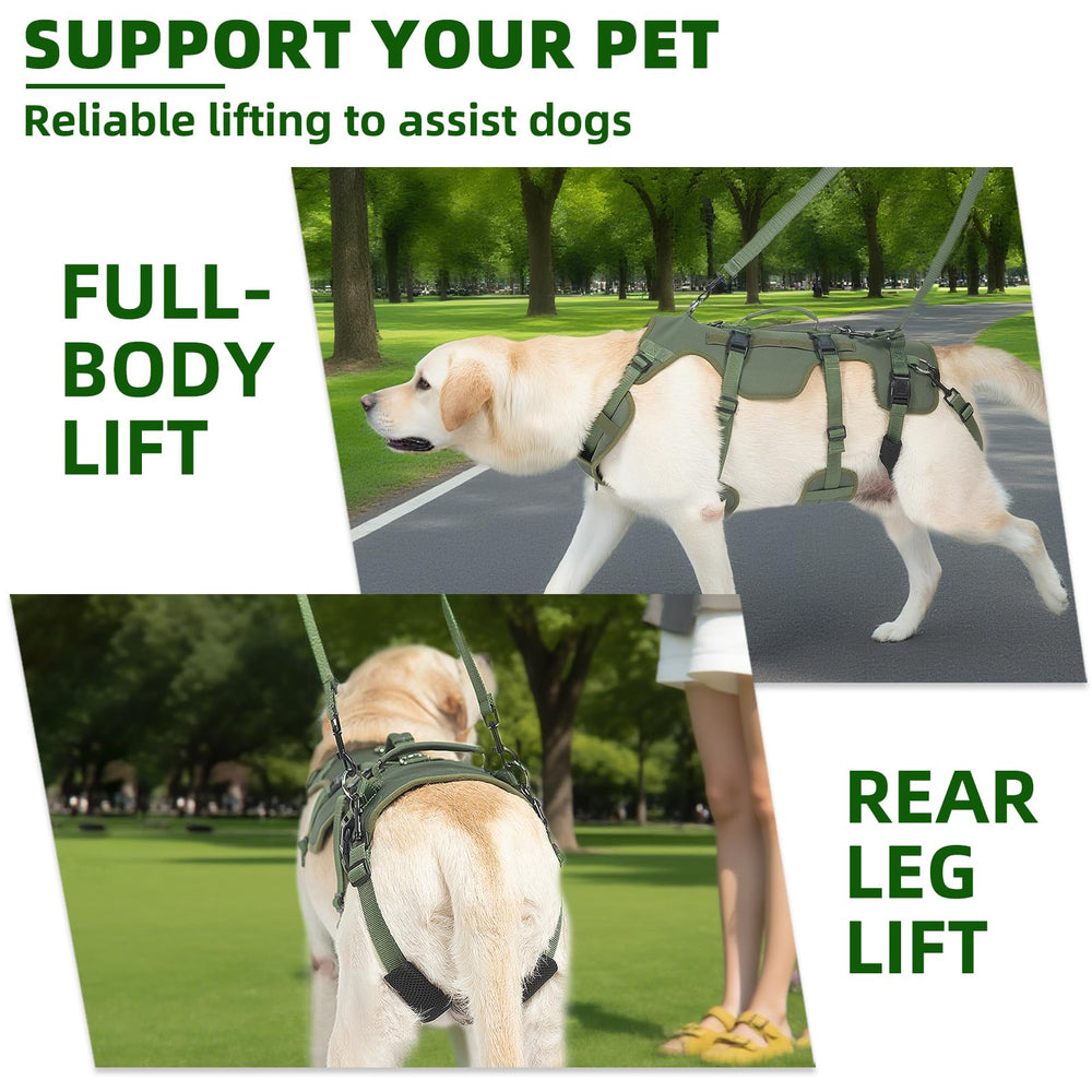 PUPTECK asa ayuda-perro: asas firmes para mover al animal con mayor seguridad.