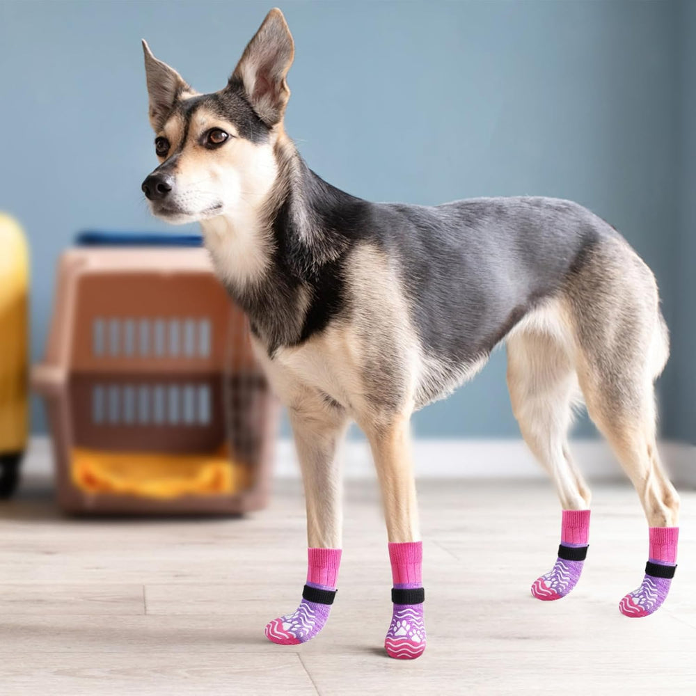 PUPTECK uso diario, protección suave para patas en interiores.