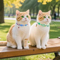 Collar con diseño piña de PupTeck, aporta estilo en cada paseo.
