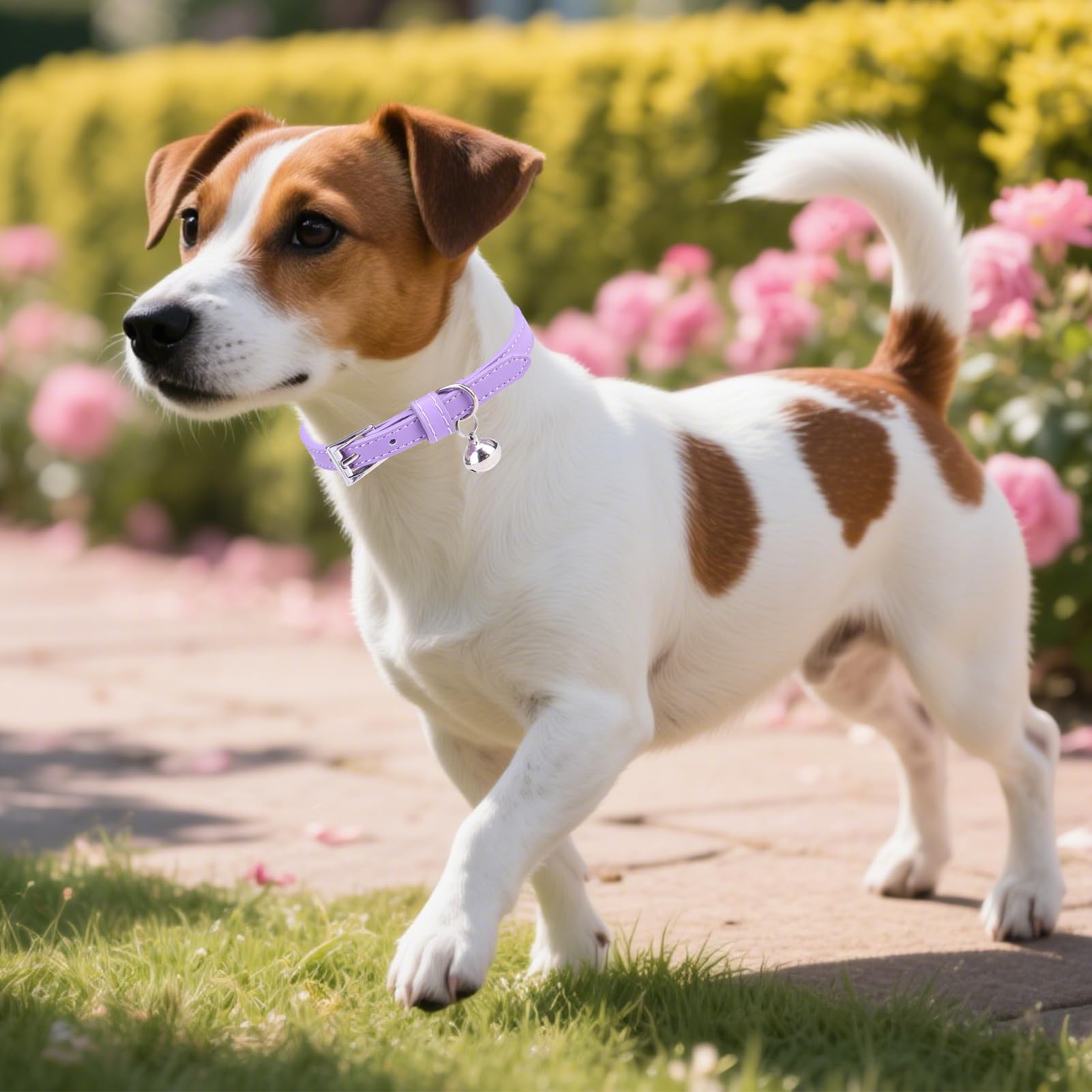 PUPTECK collar de cuero duradero, probado para resistir movimientos.
