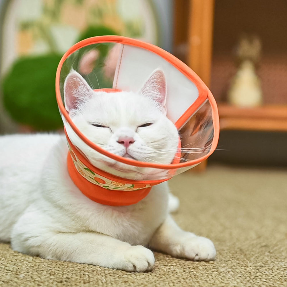 Collar para recuperación quirúrgica PUPTECK, protege la herida sin incomodar
