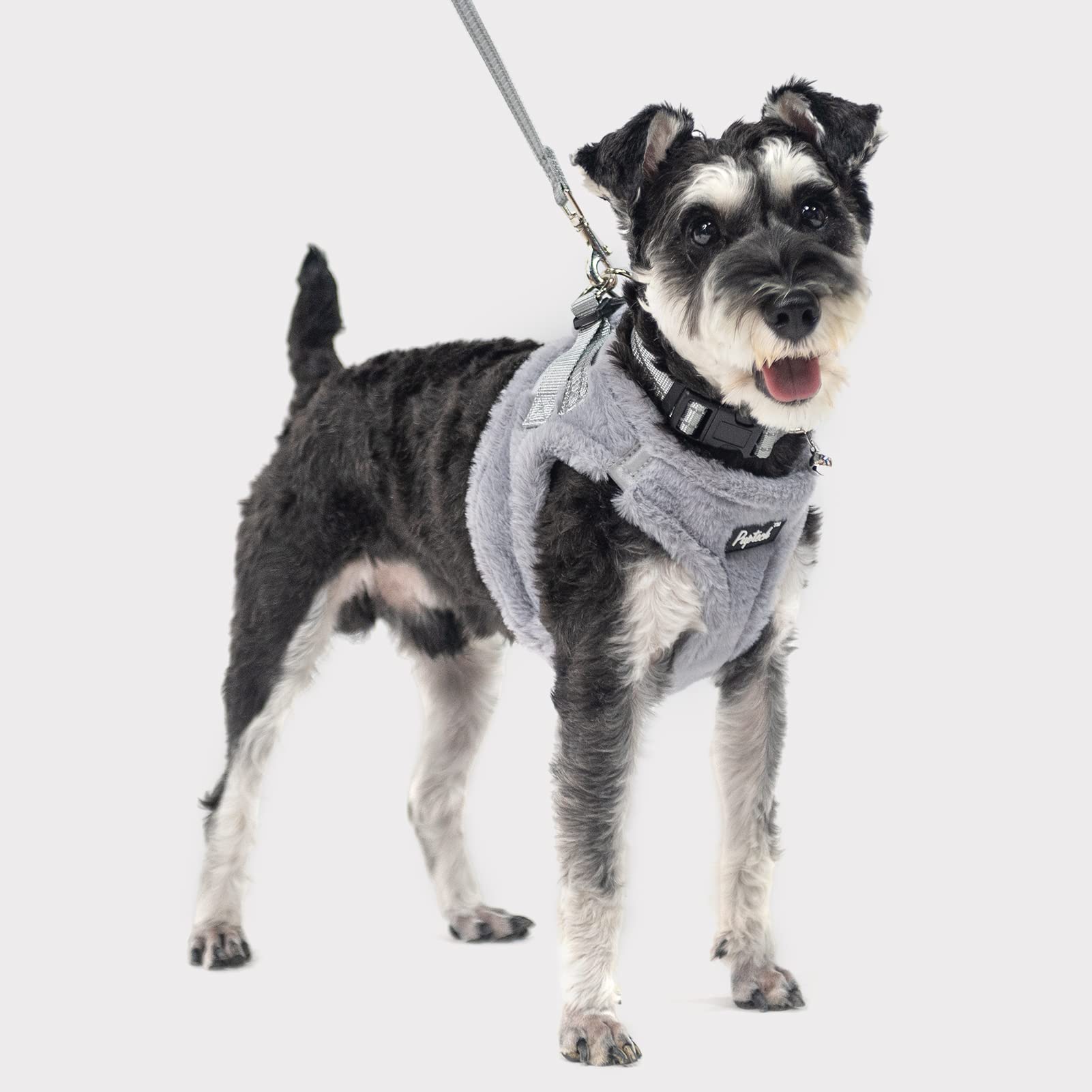 PUPTECK conjunto arnés-collar-cuerda en gris suave ideal para perros pequeños.