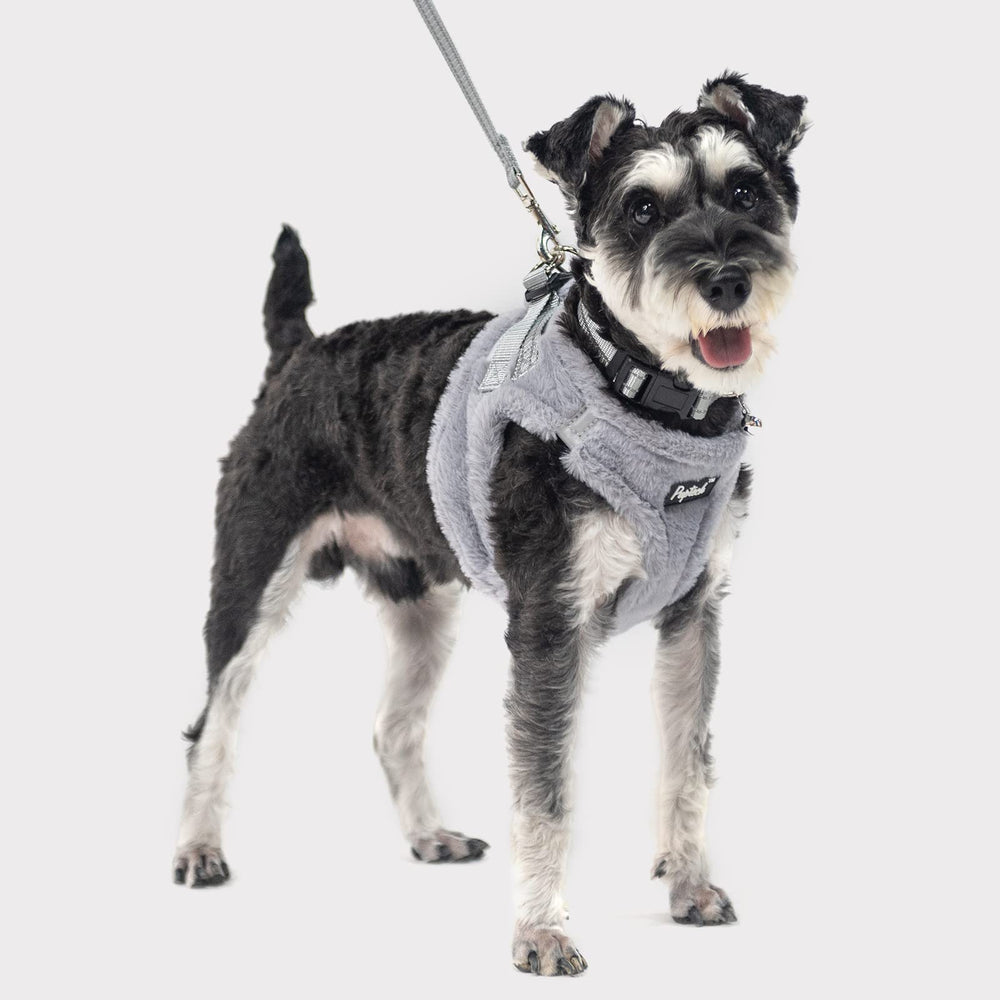 PUPTECK conjunto arnés-collar-cuerda en gris suave ideal para perros pequeños.