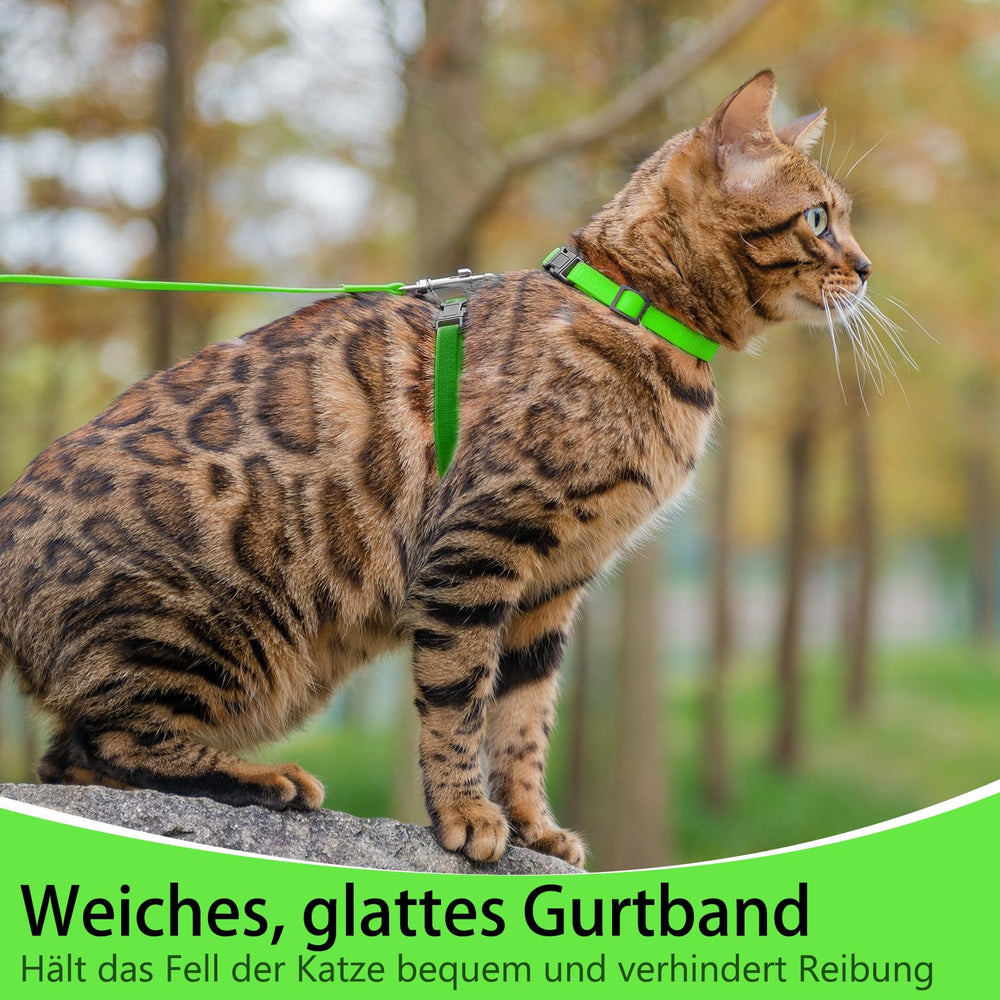 PUPTECK conjunto arnés y correa verde: kit práctico para paseos.