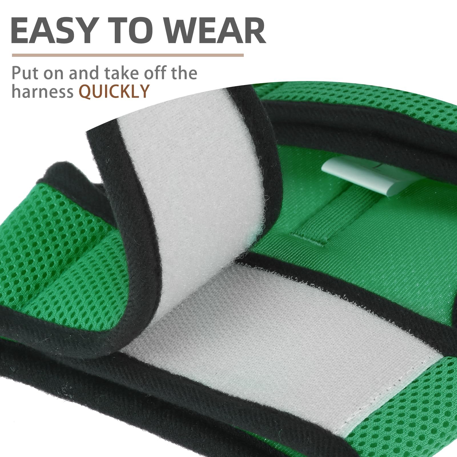 PUPTECK conjunto-arnes-y-correa-verde, perfecto para salidas diarias.