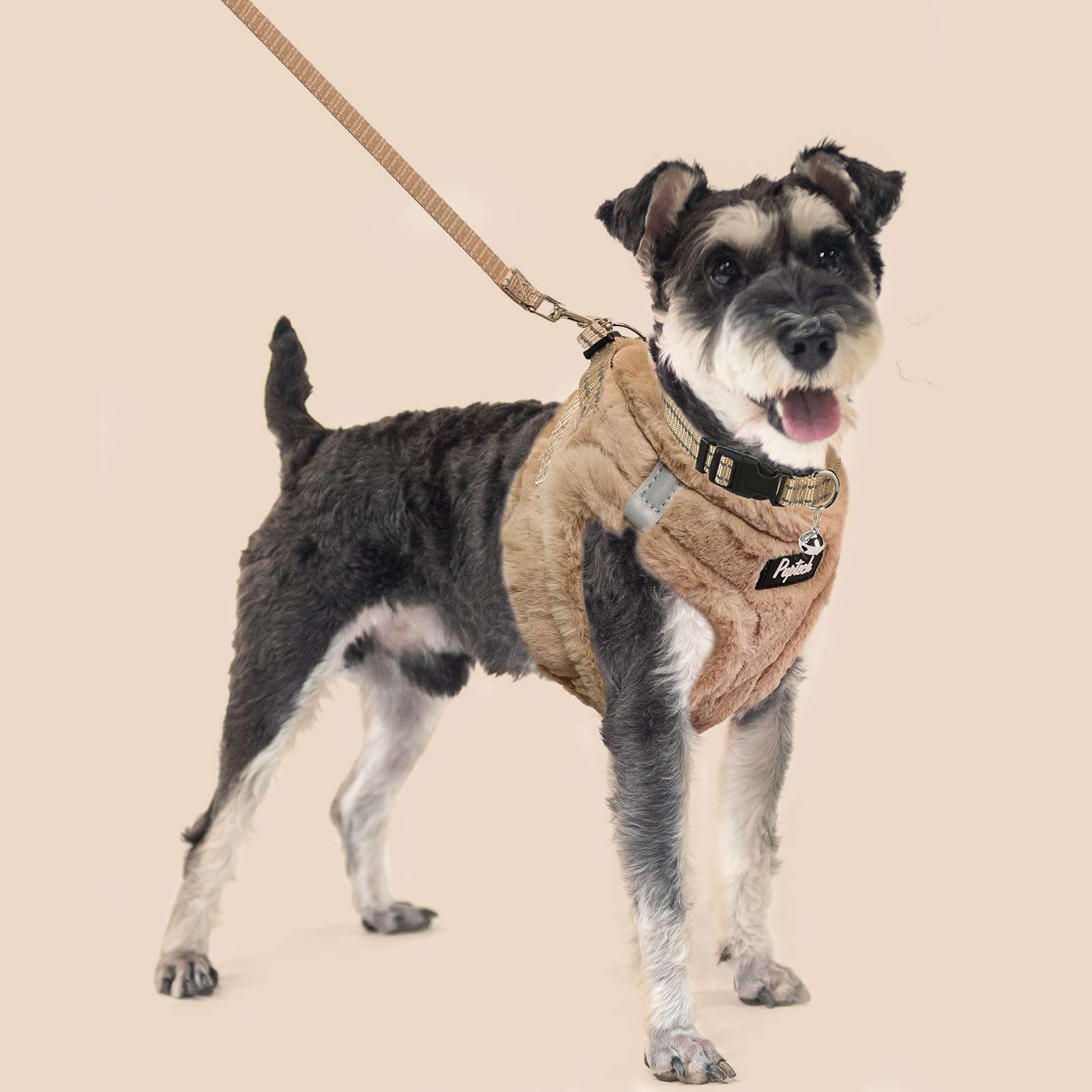 PUPTECK conjunto completo para perros pequeños y gatos activos.