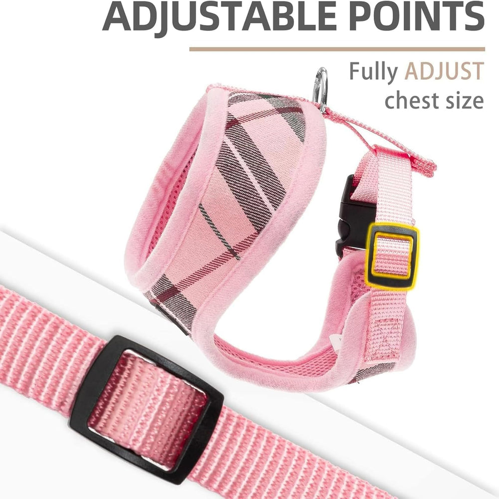 Correa a juego PUPTECK rosa XL conectada para control durante caminatas