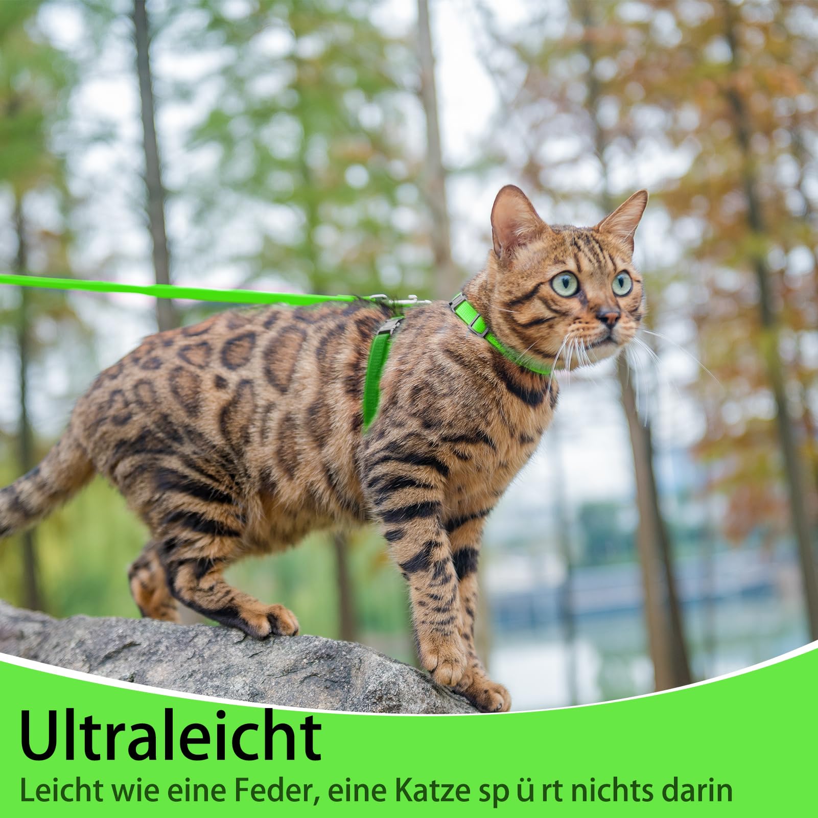 PUPTECK correa gato 120 cm: paseo estable y cómodo.