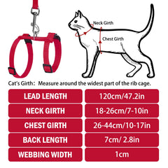 Correa PUPTECK para gato de 120 cm, ideal para caminatas.