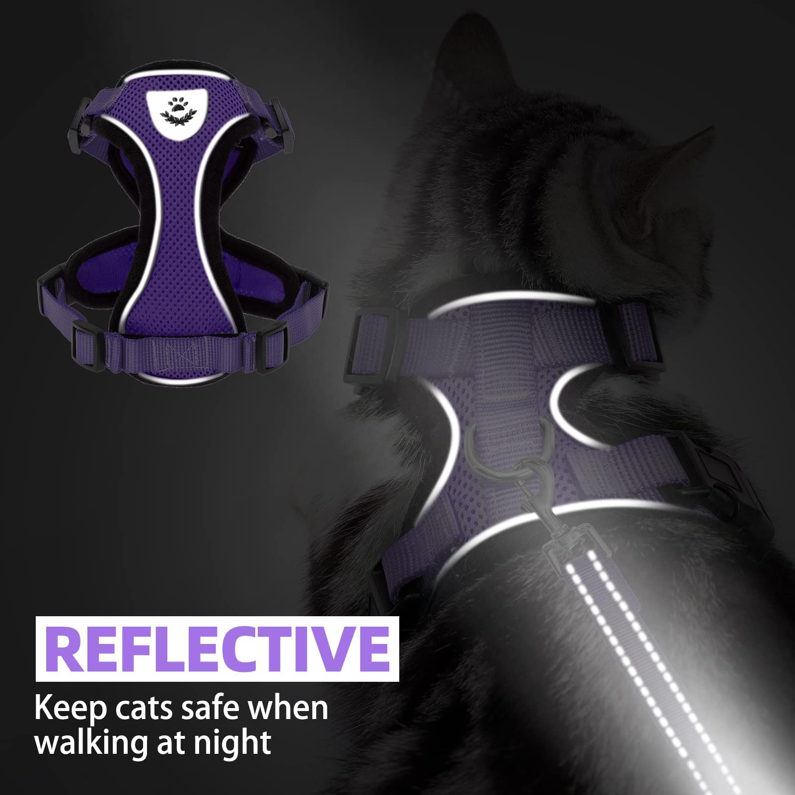 PUPTECK correa-gato-paseos-nocturnos con visibilidad