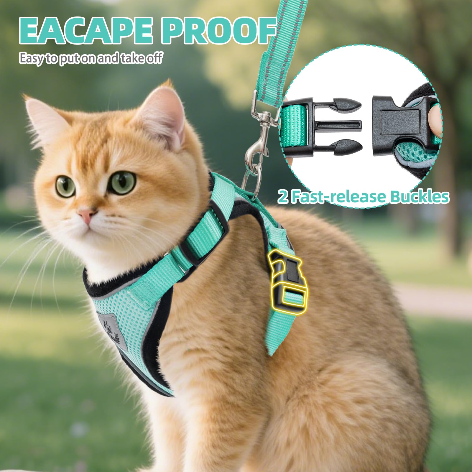 Correa PUPTECK para gatos Aguamarina, 4-9 pies, libertad controlada.