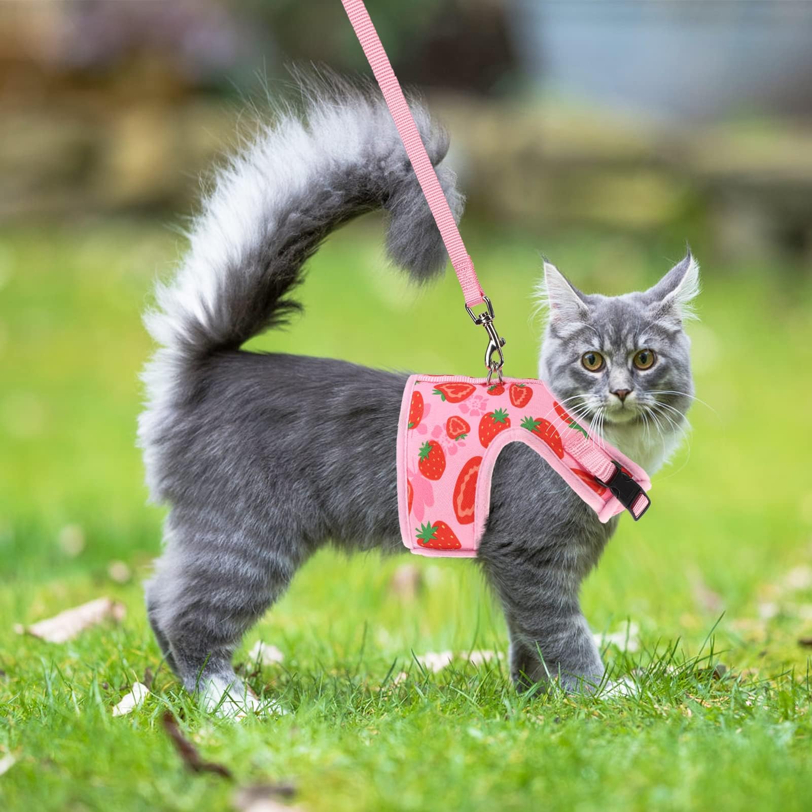 PUPTECK tallas claras para elegir la talla adecuada para tu gato.