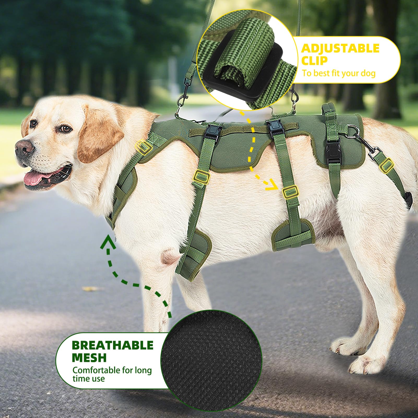 PUPTECK talla L: guía de dimensiones para un ajuste seguro y estable.