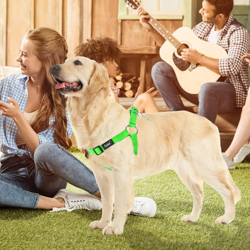 PUPTECK diseño comfort ergonómico, paseo cómodo todo el día.
