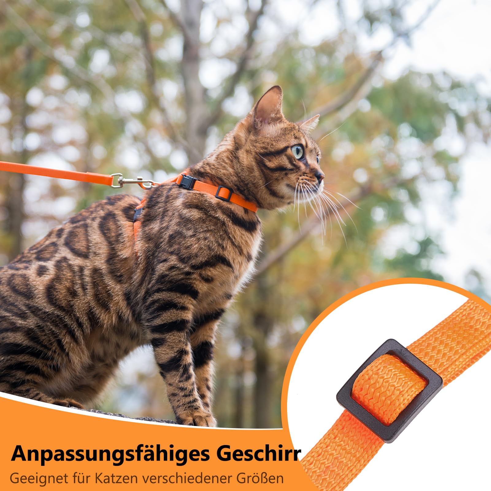 PUPTECK arnés cómodo para gatos, diseño ergonómico para paseos.