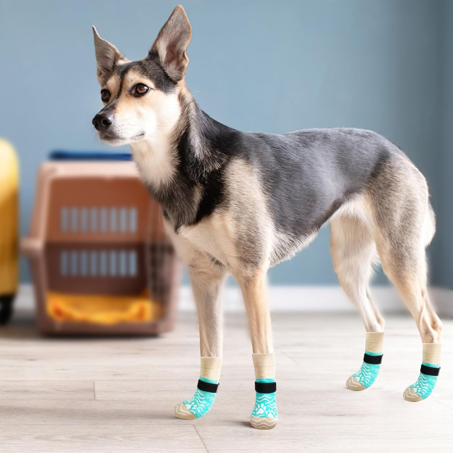 PUPTECK diseño dual protege patas y evita lamidos en casa.