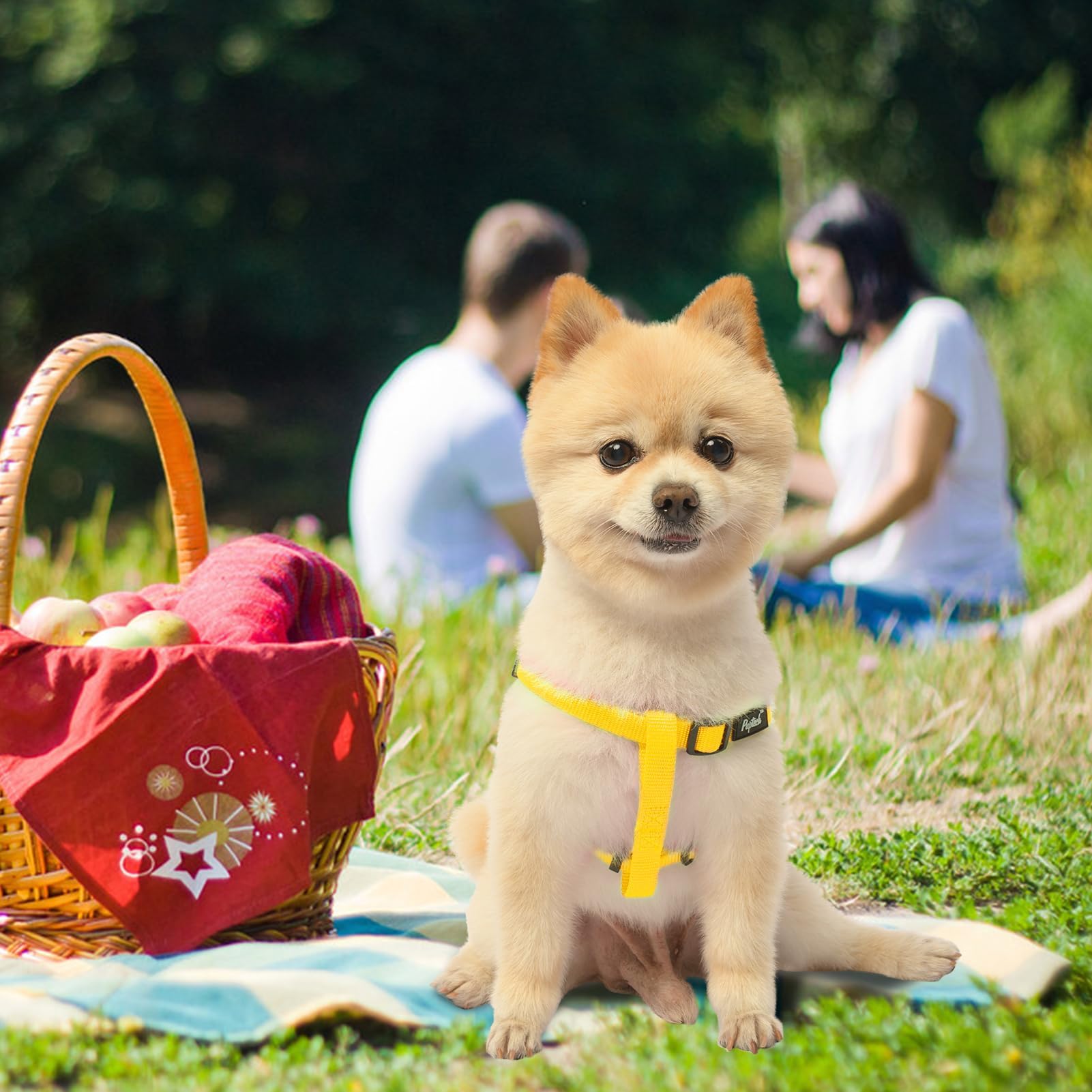 Diseño ergonómico PUPTECK: libertad de movimiento en cada caminata.
