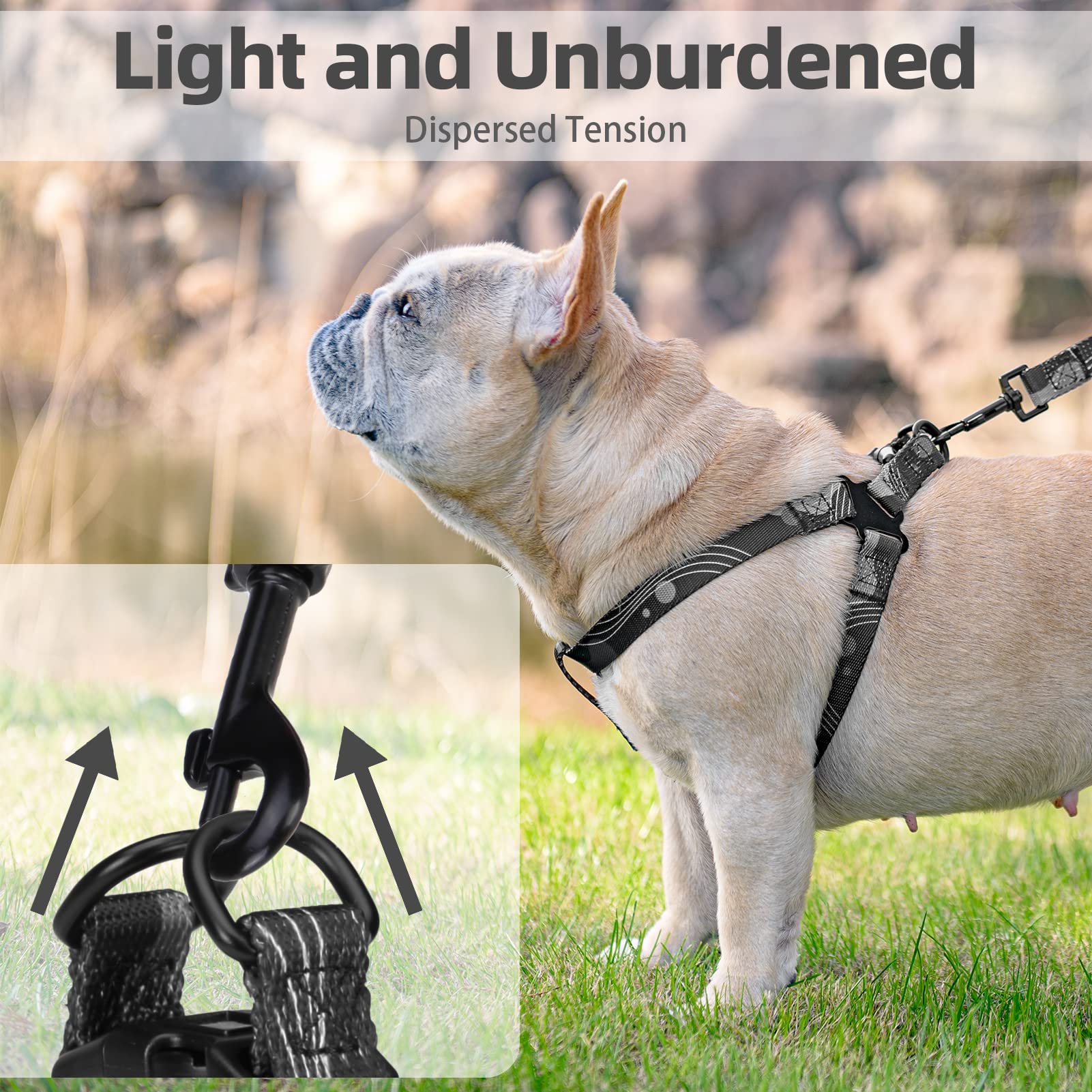 PUPTECK diseño ergonómico para confort durante paseos diarios