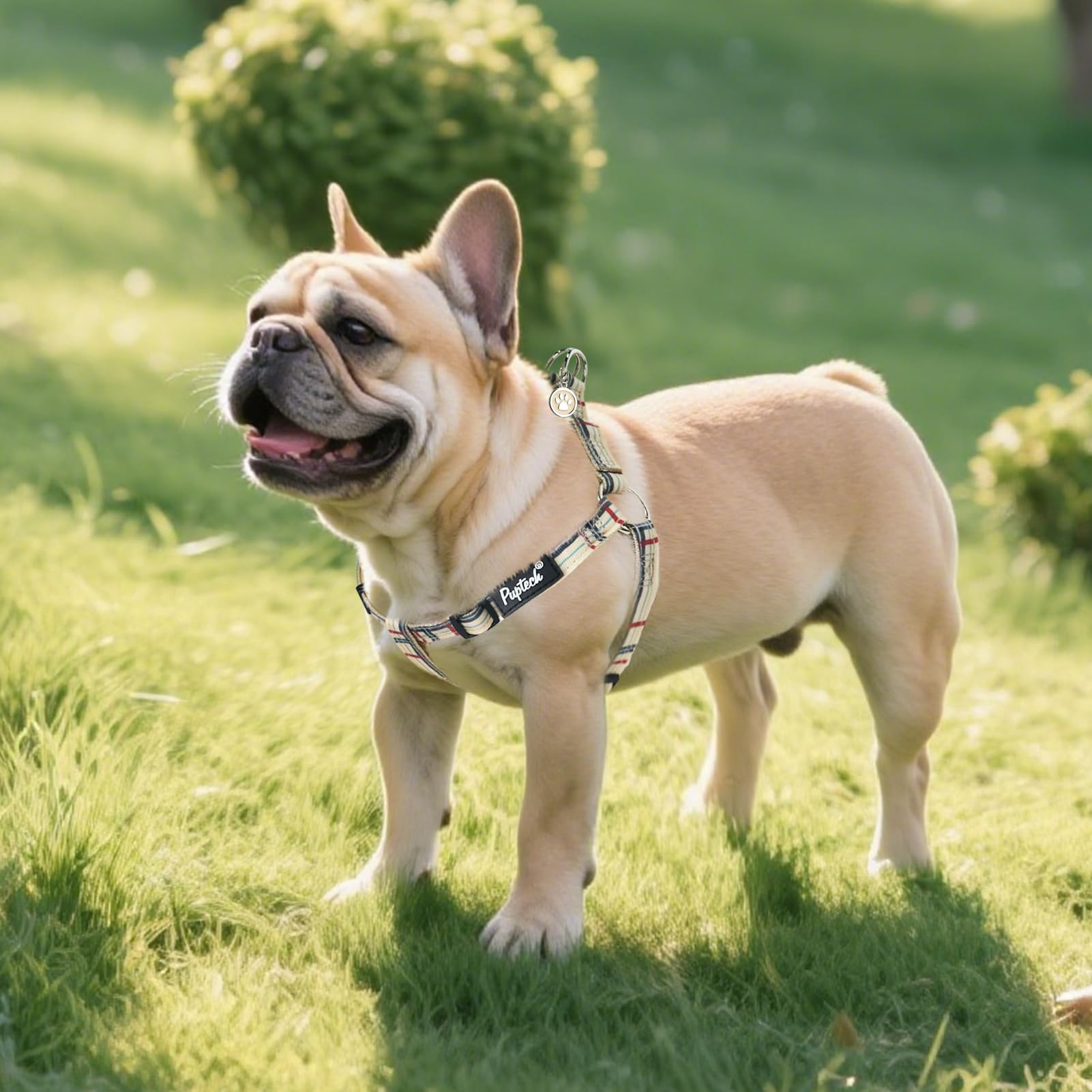 Arnés PUPTECK diseño evita tirones en el cuello durante caminatas.
