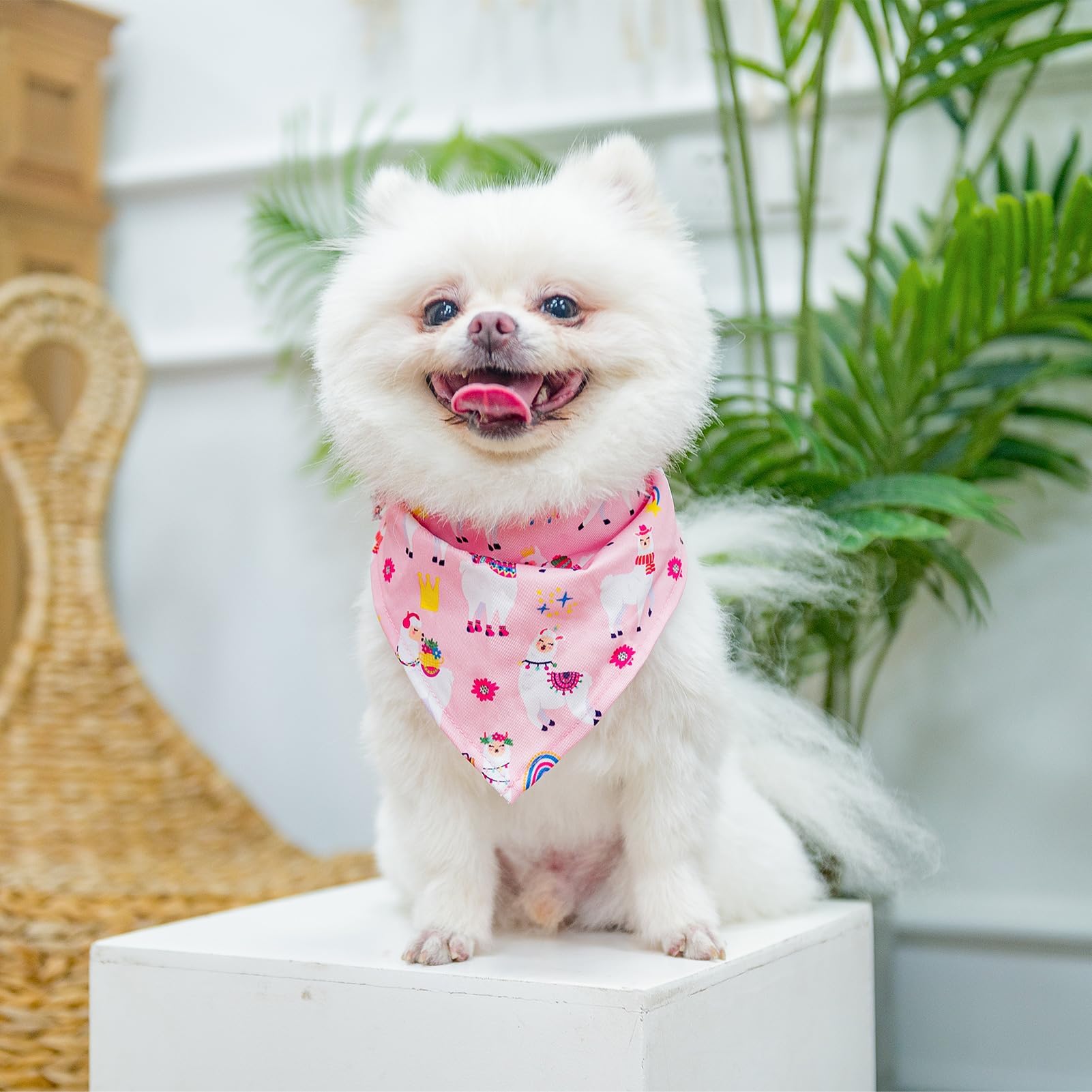 Diseño de malla de aire de PUPTECK para comodidad diaria del perro.