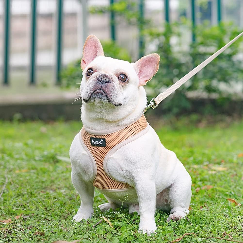 PUPTECK diseño sólido beige, estiliza salidas cotidianas