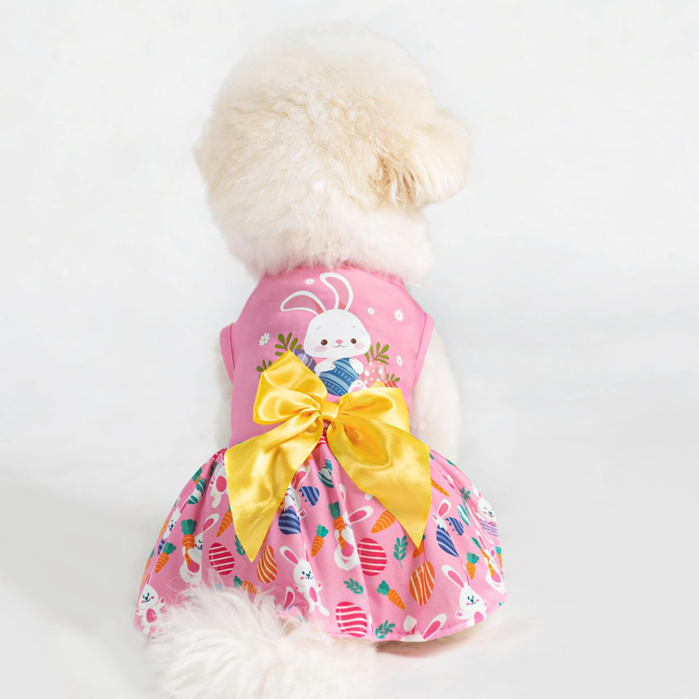 Pupteck disfraz cumpleaños perro, opción festiva para fotos.
