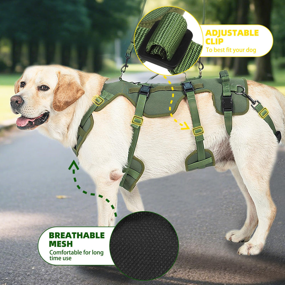 Asas traseras PUPTECK para control rápido durante paseos.