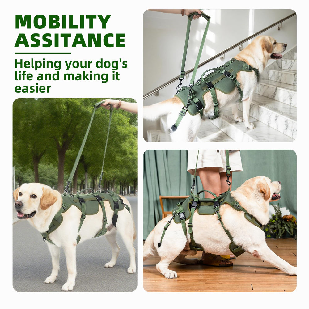 Dos asas de manejo PUPTECK para transferir al perro con seguridad.