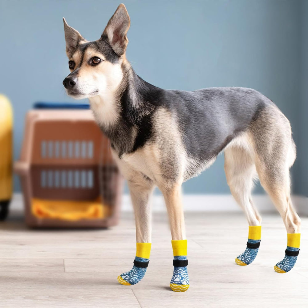 PUPTECK diseño práctico: dos pares en ocho colores para combinar