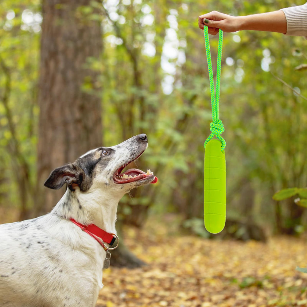 Juguete para exterior de PUPTECK ideal para entrenamientos en tierra.