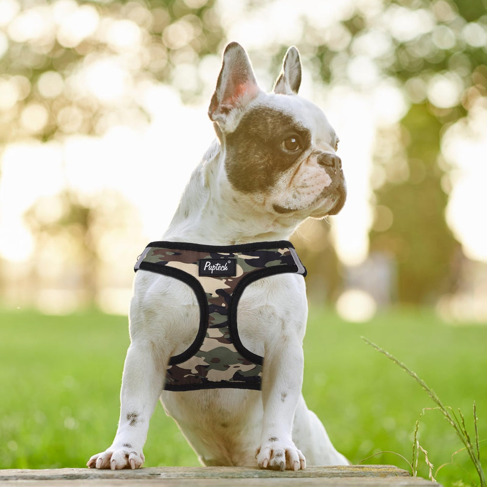 PUPTECK guía de talla para ajuste perfecto.