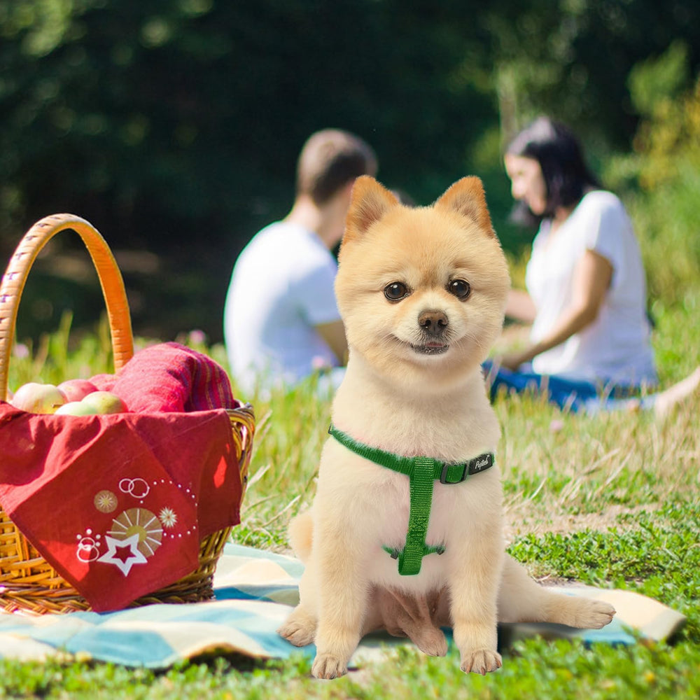 PUPTECK guía de tallas – ajuste perfecto para perros de distintas razas.