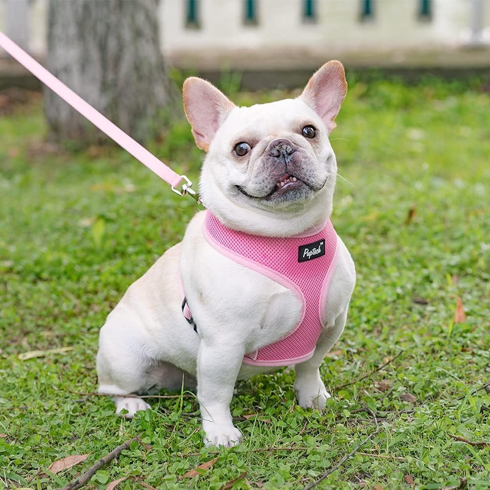Arnés ligero para uso diario de perros y gatos PUPTECK rosa
