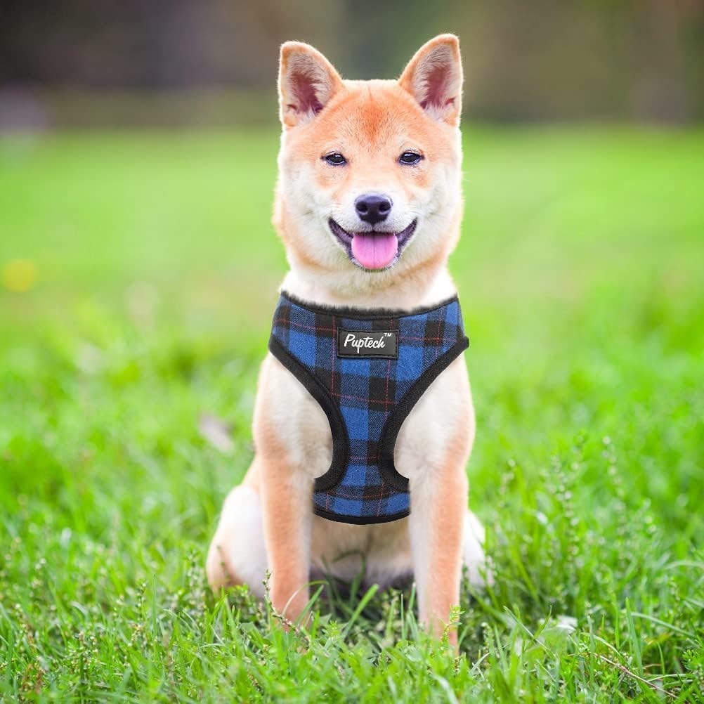 Guía de tallas PUPTECK ayuda a elegir la talla adecuada para tu mascota.