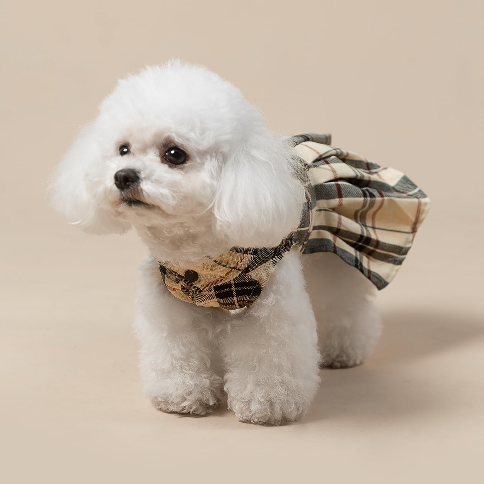 PUPTECK guía de tallas para perros pequeños.