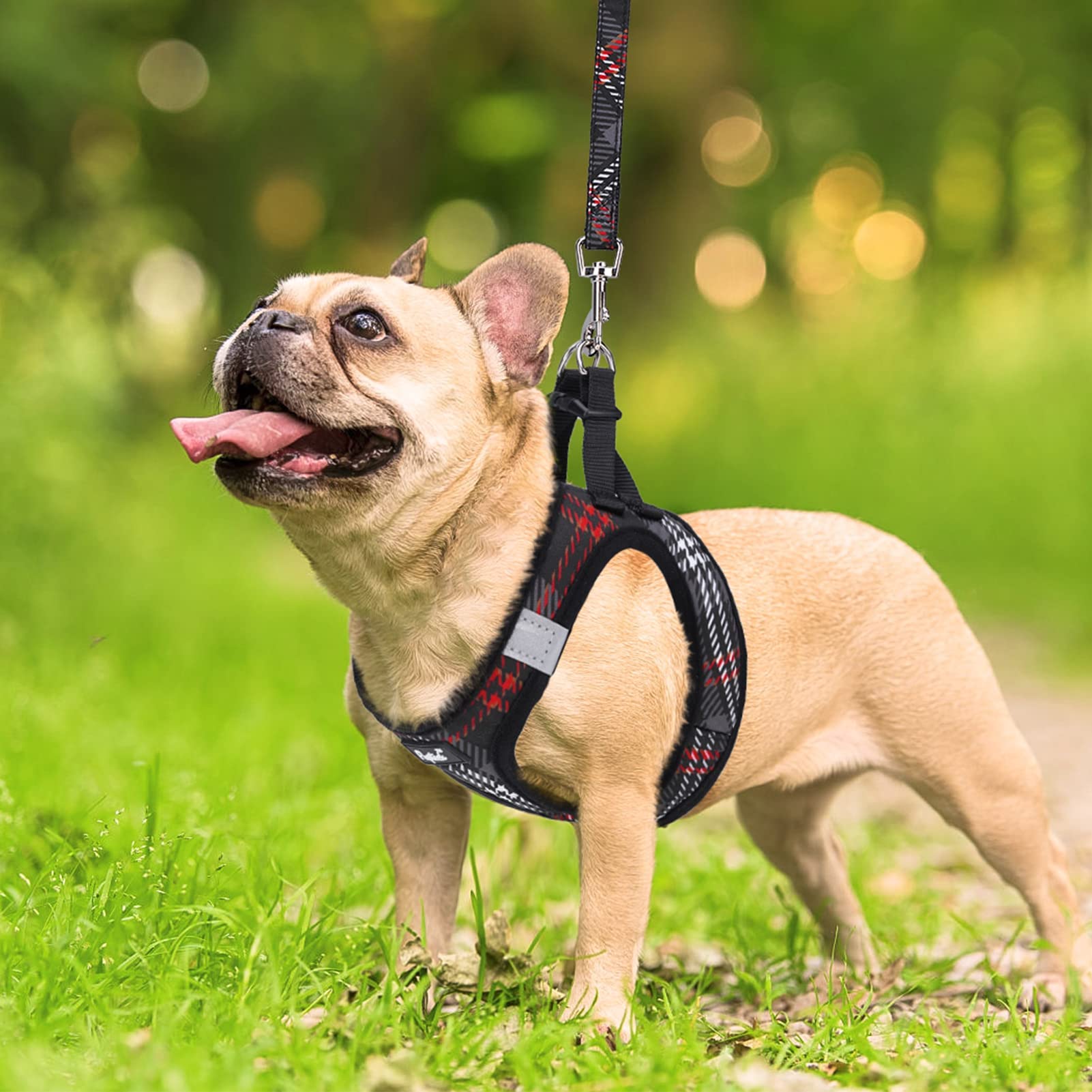 PUPTECK guía de tallas para perros pequeños evita errores de compra.