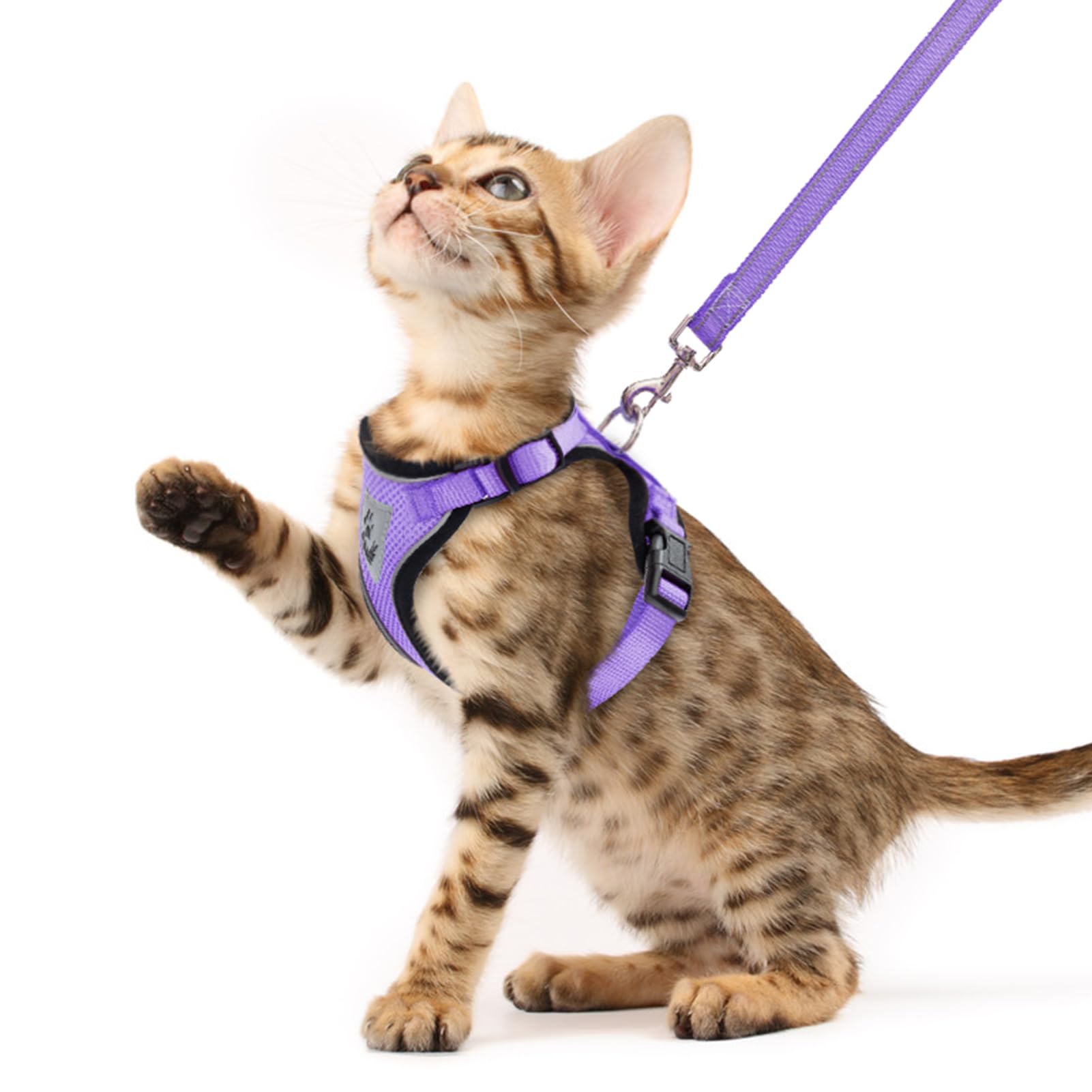 arnés para gato PUPTECK de malla ventilada para paseos cómodos.