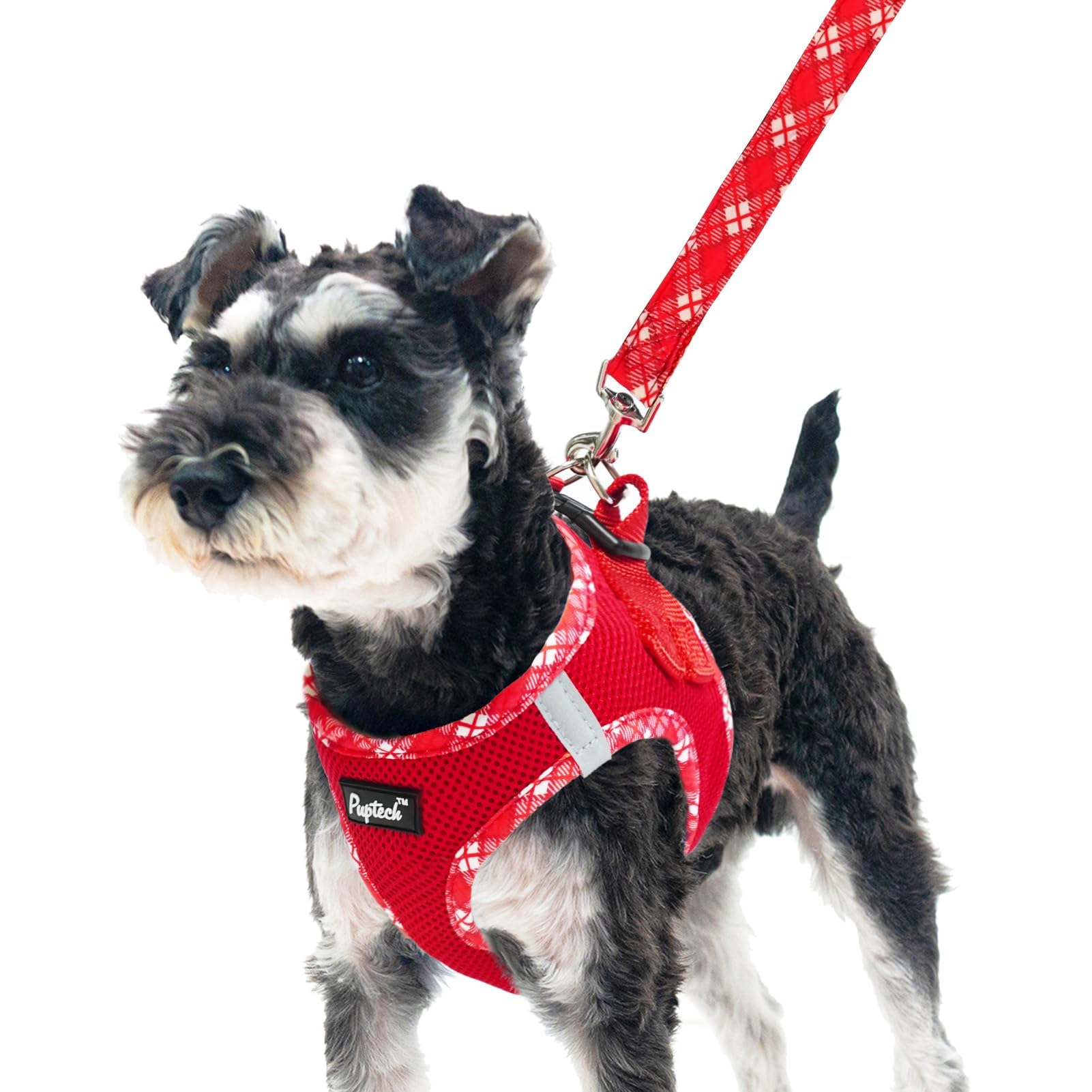 Arnés PUPTECK con diseño de entrada frontal, fácil de colocar para perros pequeños.