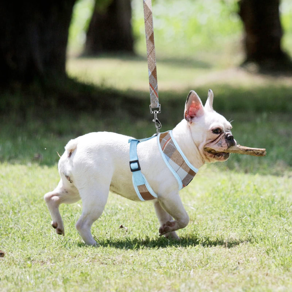 Arnés con patrón a cuadros PUPTECK, estilo único para salidas.