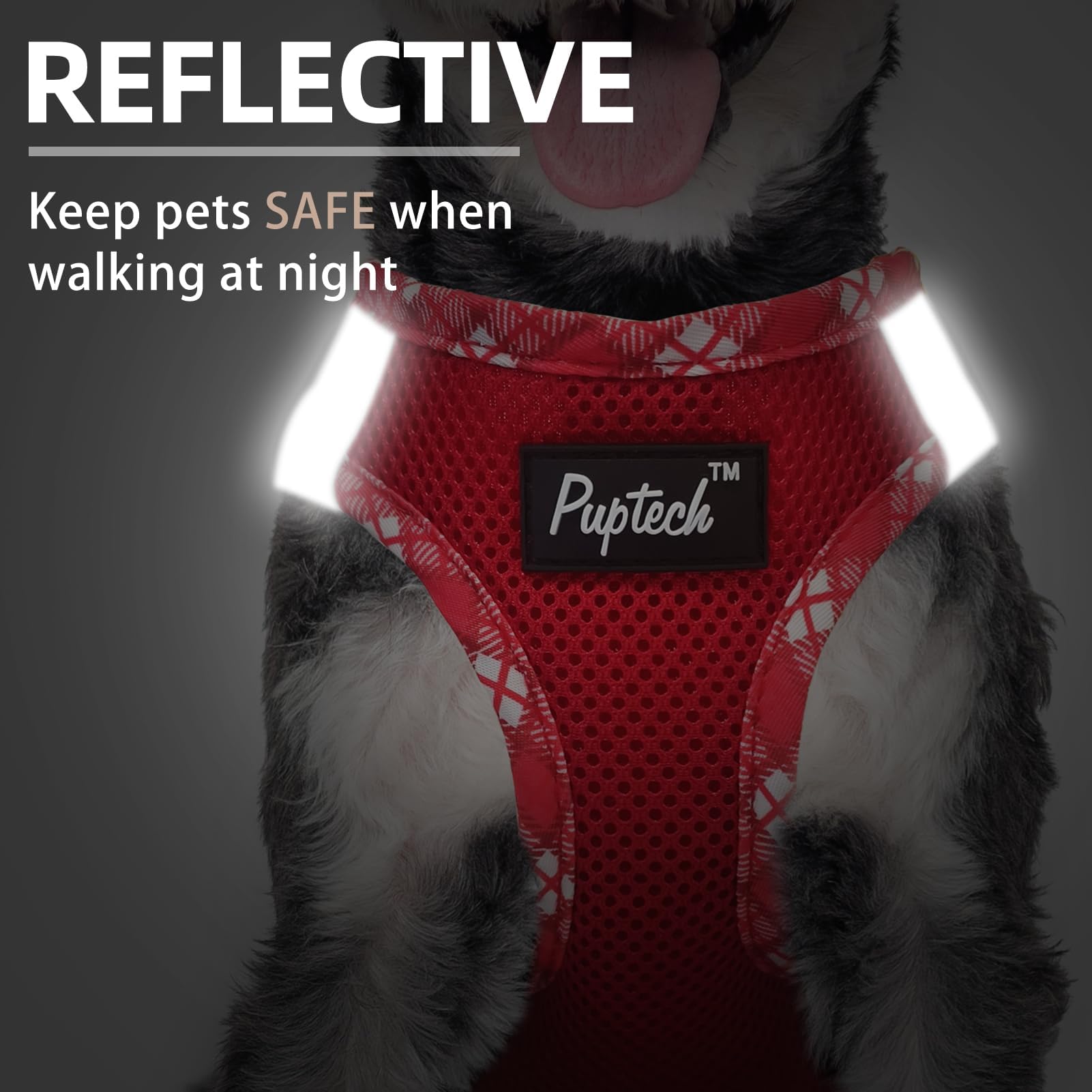 Arnés PUPTECK con franjas reflectantes para caminatas nocturnas seguras.