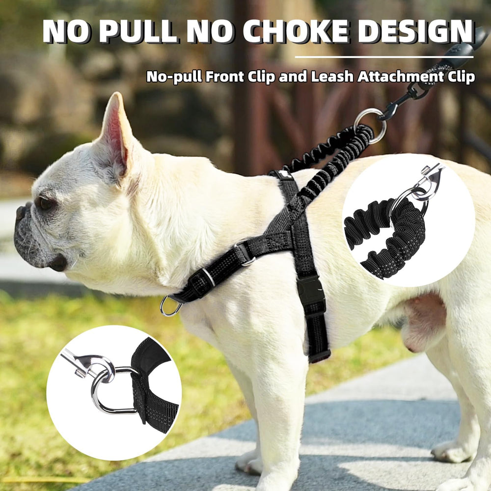 Mango elástico de PUPTECK para control inmediato durante paseos