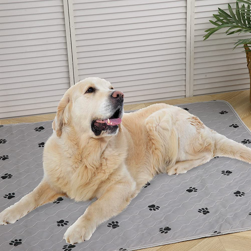 La almohadilla PUPTECK de 48x60 grande para mascotas de todos los tamaños.